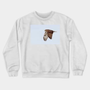 Red-tailed Hawk Crewneck Sweatshirt